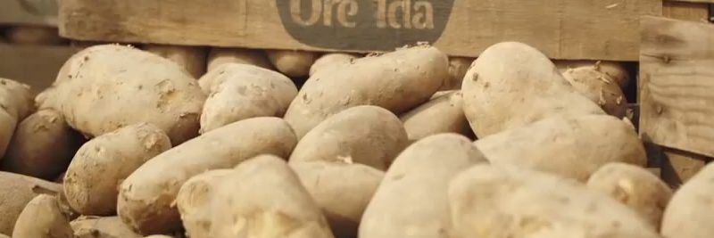 Who Invented Tater Tots Who Invented Tater Tots